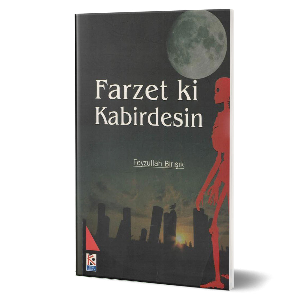 Farzet ki Kabirdesin