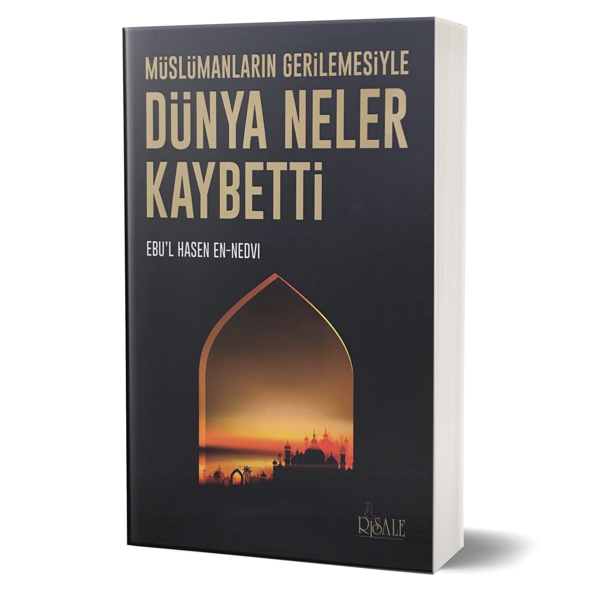 Müslümanların Gerilemesiyle Dünya Neler Kaybetti