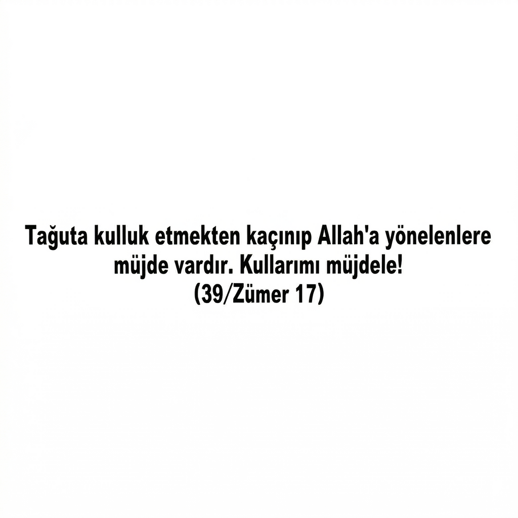 Zümer Suresi 17 – Sticker