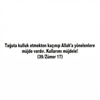 Zümer Suresi 17 – Sticker